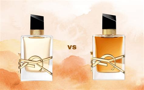 ysl libre vs prada paradoxe|Prada Paradoxe vs YSL Libre .